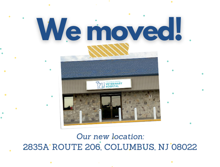 We've Moved!