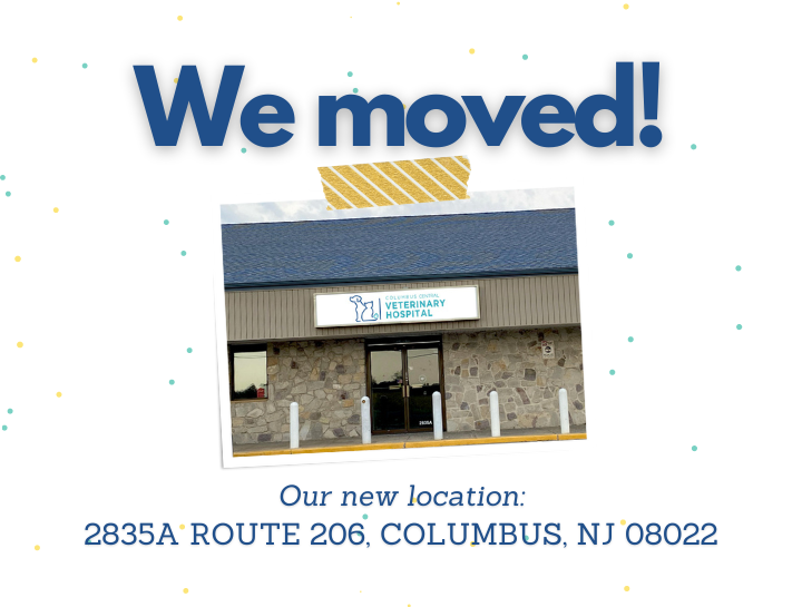 We Moved!